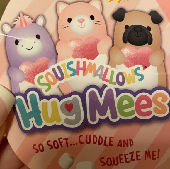 10" Valentine's Day Cat Holding a Heart EXCLUSIVE "Hug Mee" Squishmallow - Picture 5 of 13